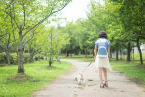犬を散歩する女性
