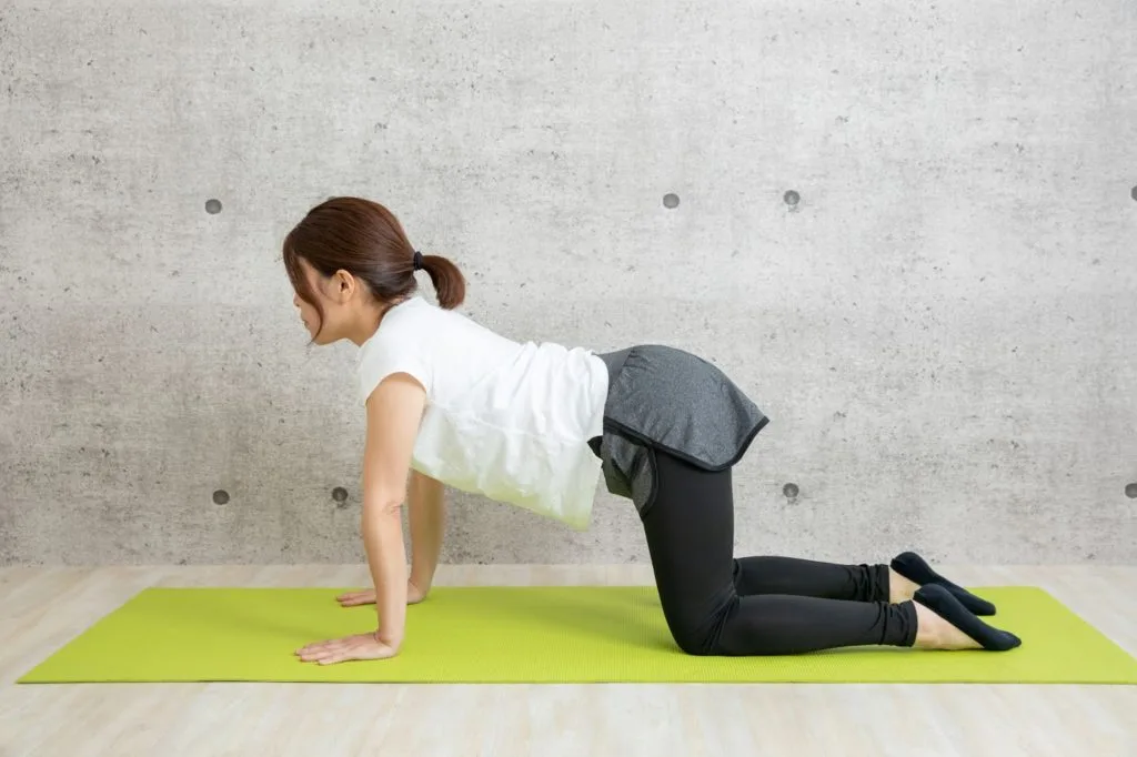四つん這いでストレッチをしている女性